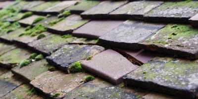 Great Oak roof repair costs